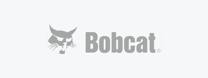 Bobcat